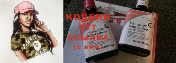 прущий лед Бородино