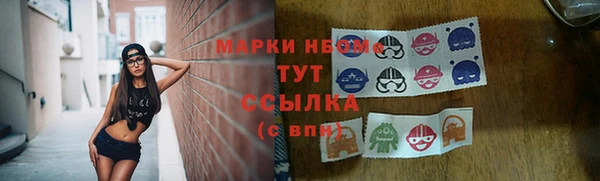 прущий лед Бородино