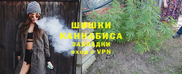 прущий лед Бородино