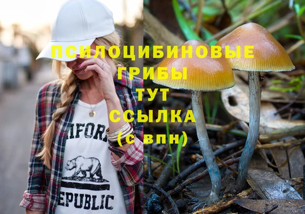 прущий лед Бородино