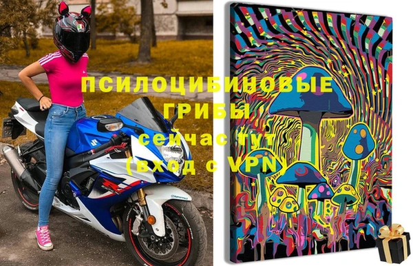 круглые Бронницы