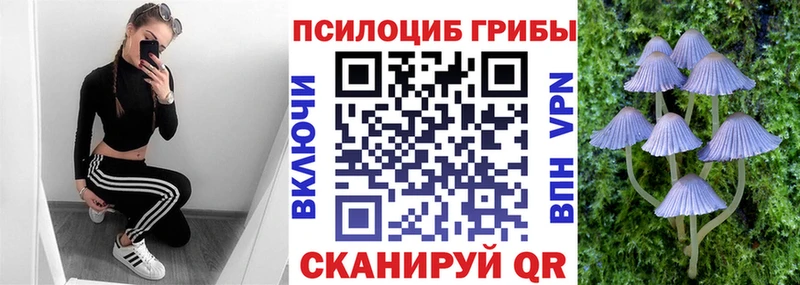Купить закладки  Кондрово  Галлюциногенные грибы MAGIC MUSHROOMS 